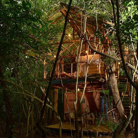 Back Of Beyond - Pidurangala Villa Sigiriya Exterior photo