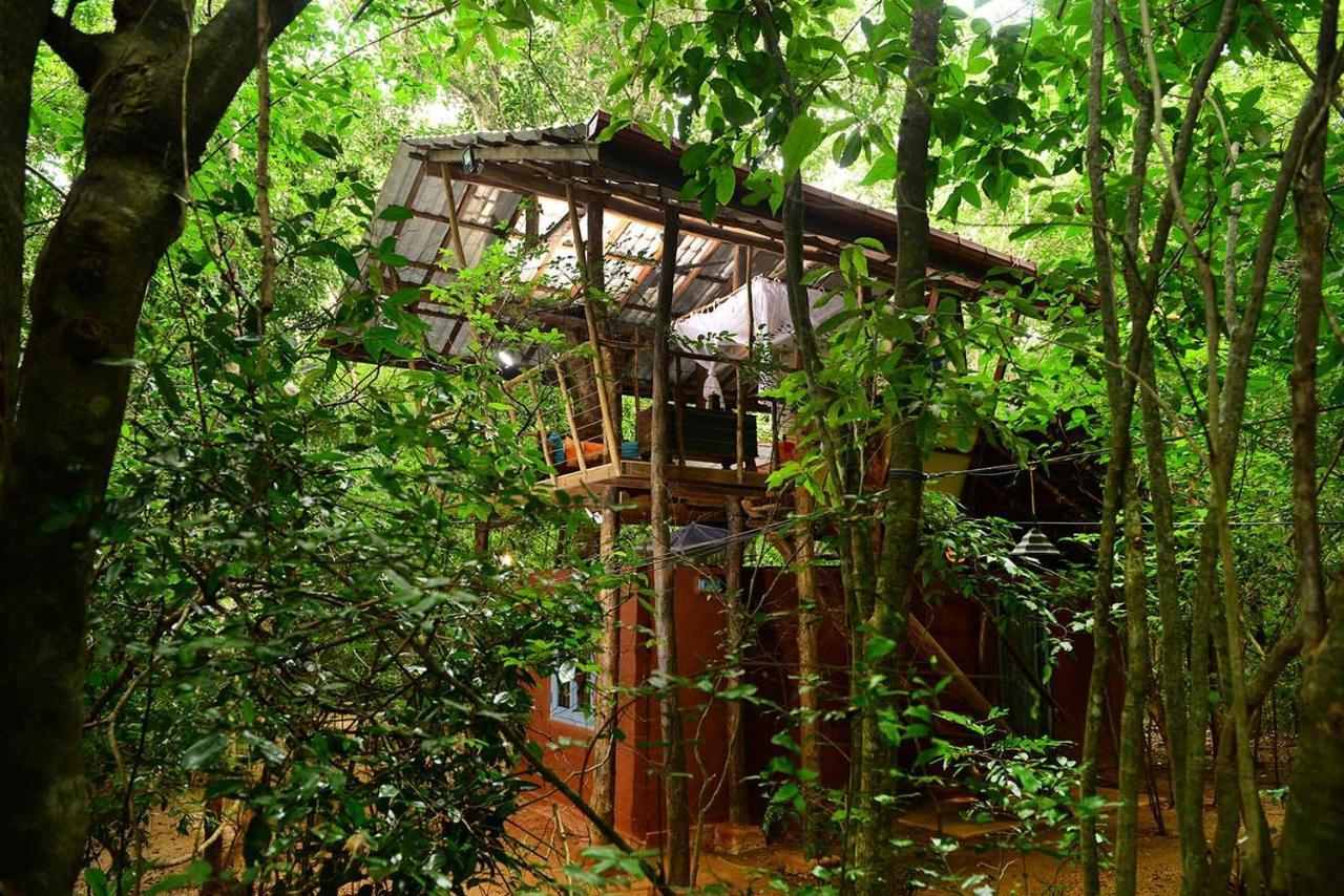 Back Of Beyond - Pidurangala Villa Sigiriya Exterior photo