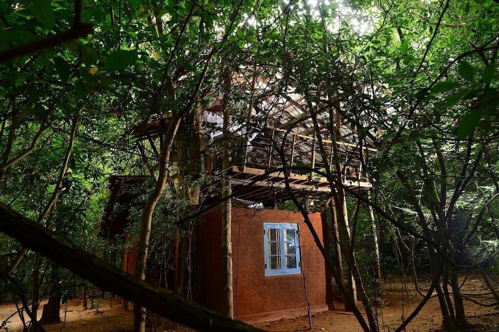 Back Of Beyond - Pidurangala Villa Sigiriya Exterior photo