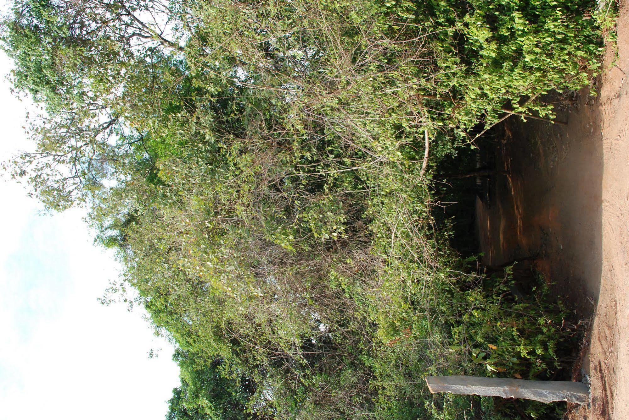 Back Of Beyond - Pidurangala Villa Sigiriya Exterior photo